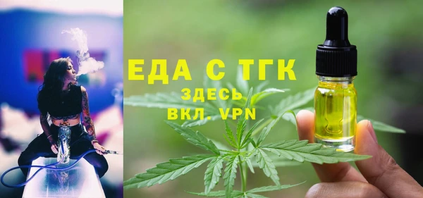 индика Алексин