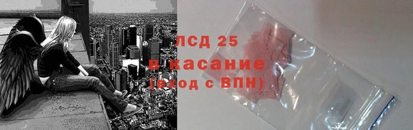 индика Алексин