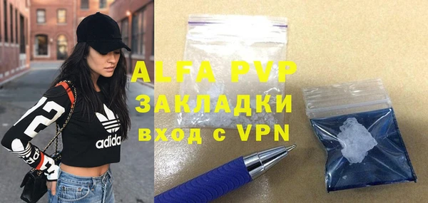 индика Алексин