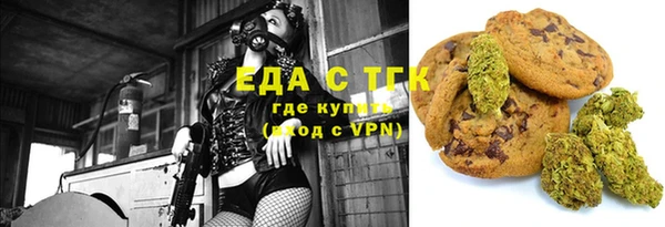 индика Алексин