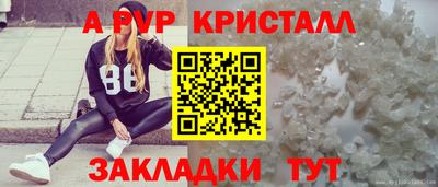 индика Донской