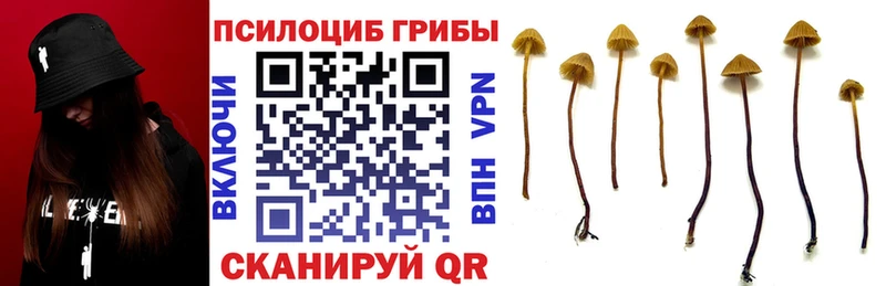 даркнет сайт  Сатка  Псилоцибиновые грибы Psilocybe 