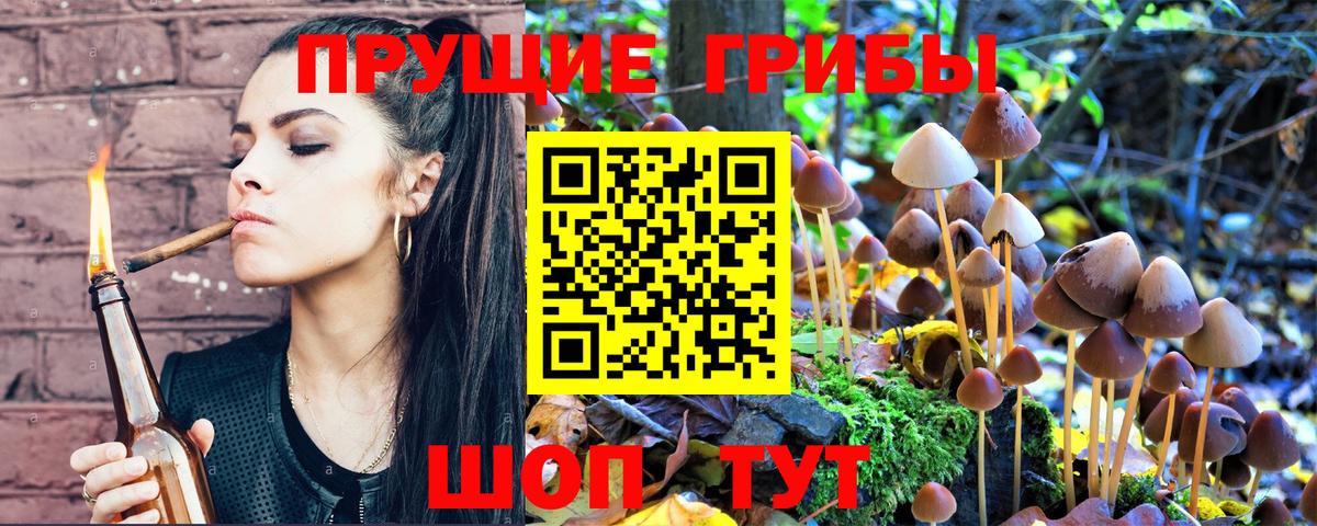 Сатка  Галлюциногенные грибы MAGIC MUSHROOMS  Вход с VPN 
