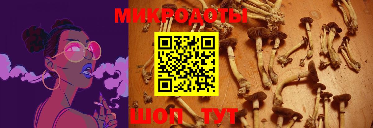 Галлюциногенные грибы Psilocybine cubensis Сатка